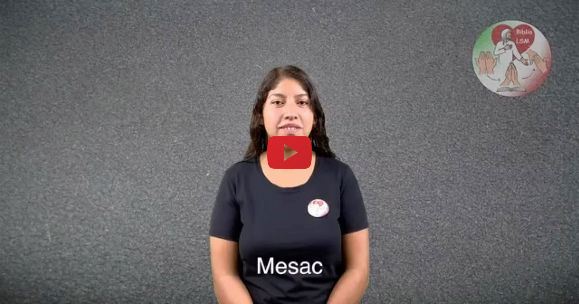 Reproducir video