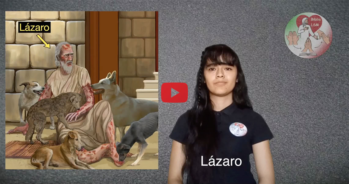 Reproducir video