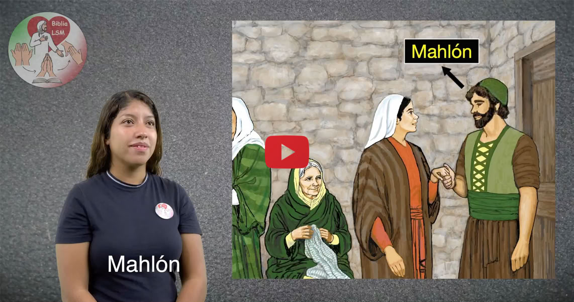 Reproducir video
