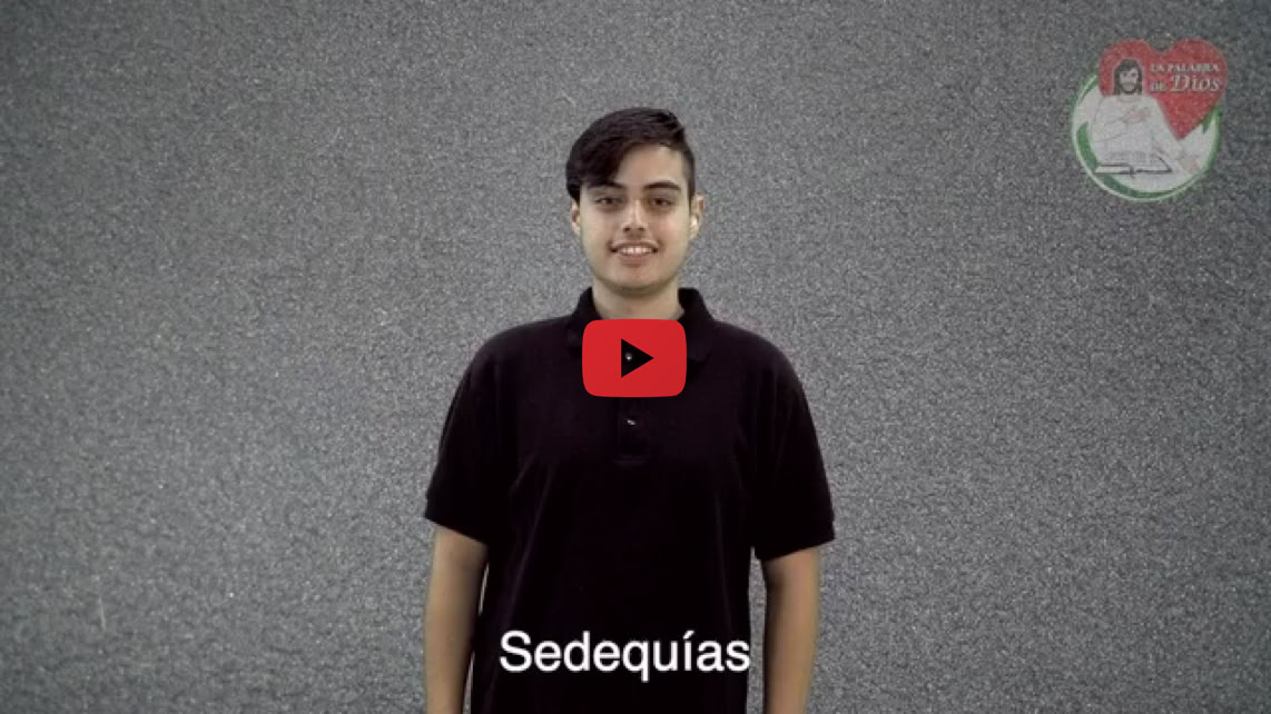 Reproducir video