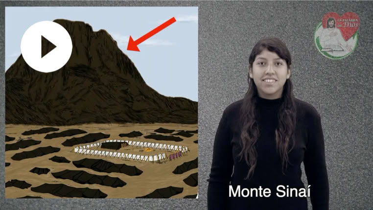 Reproducir video