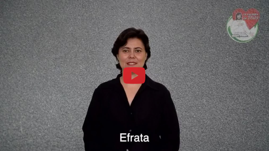 Reproducir video