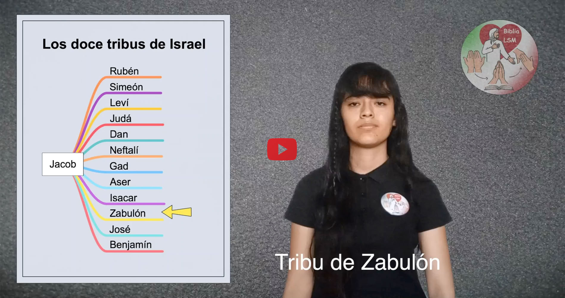 Reproducir video