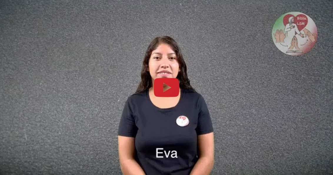 Reproducir video