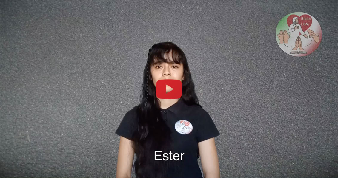 Reproducir video