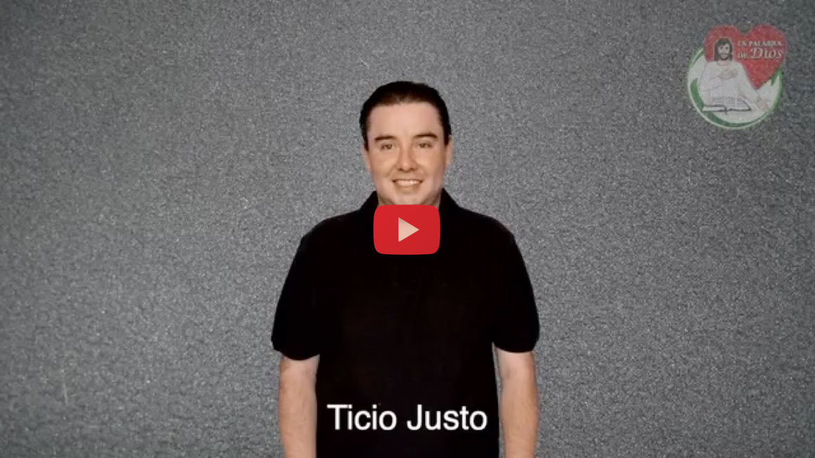 Reproducir video