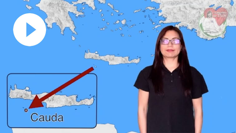 Reproducir video