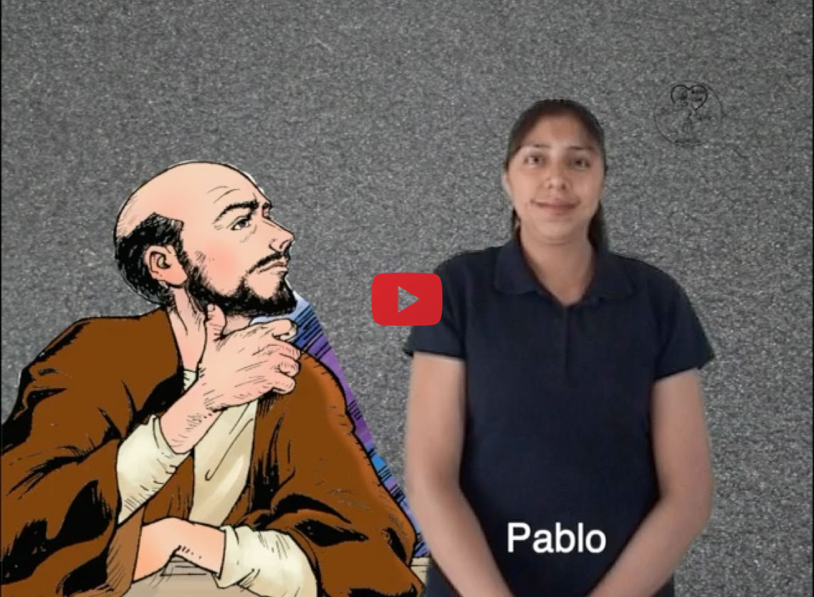 Reproducir video