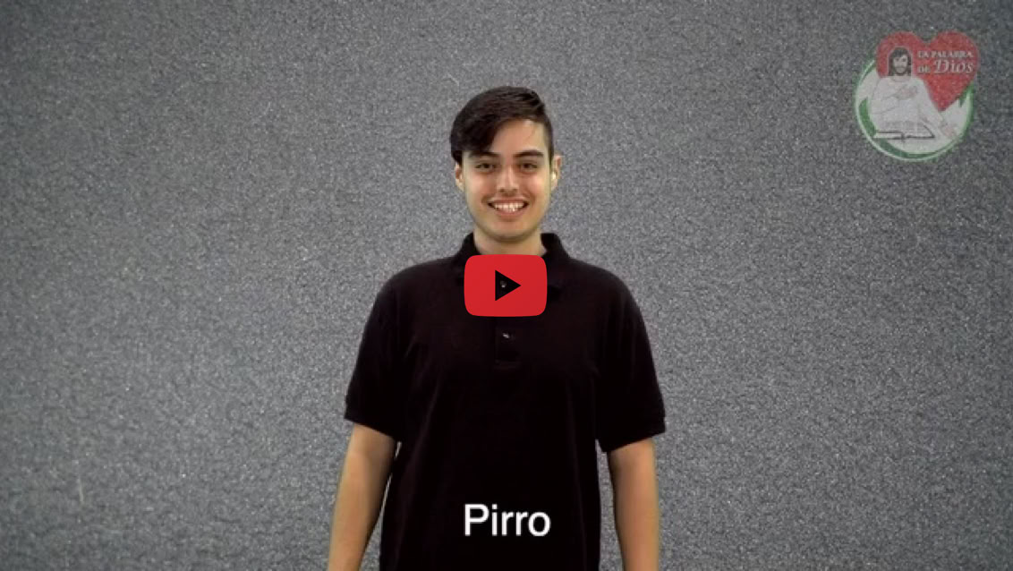 Reproducir video